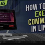 How To Use Exec Command In Linux 8 Practical Examples LinuxSimply