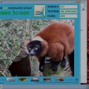 KINECT Green Screen