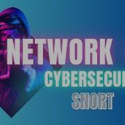 Snort Intrusion Detection System Network IDS