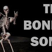 SKELETON BONES SONG LEARN IN 3 MINUTES