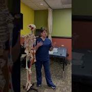 Acromion Process Palpation