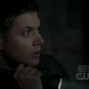 Supernatural Dean Getting Scared By A Cat Yellow Fever