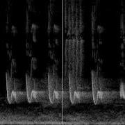 Bird Song Spectrogram 2