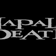 NAPALM DEATH Uk Live Aalst 30 09 1990
