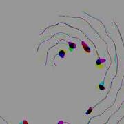 Wobbling Line Openframeworks
