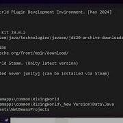 Setting Up Rising World Unity Plugin Development Environment