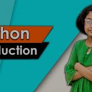 5 Python Programming Python Introduction