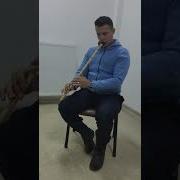 Selvi Boylum Al Yazmalım Ney Cover