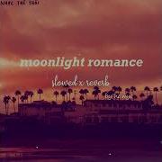 Moonlight Romance 𝓼𝓵𝓸𝔀𝓮𝓭 𝓵𝓸𝓯𝓲