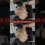 UPPER SECTION VOLUMINOUS BLOW DRY PIXIE BOB Complete Tutorial Linked Below