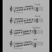 Four Beautifully Weird Microtonal Scales