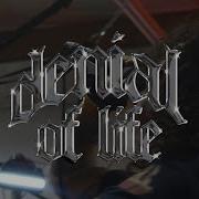 Denial Of Life LIVE Northwest Hardcore Fest 1 27 24 Full Set