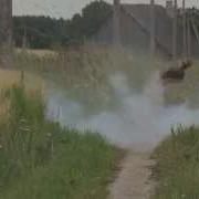 Dry Ice Bomb How To Make It Yourself DIY