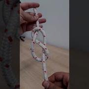 Knot Tying Step By Step Figure 8 Knot Or Stopper Knot Magic Knots