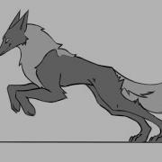 Wolf Running Animation Practice