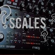 Switching Scales On Moog Labyrinth Tutorial