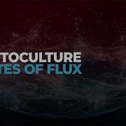 Protoculture States Of Flux Extended Mix