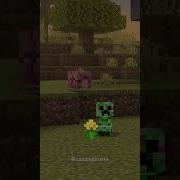 Our Morph Add On Has A New Update Minecraft