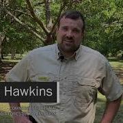 Tree Risk Assessment Ask The Arborist