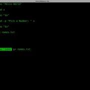 Writing Your First Shell Script For Linux Tutorial