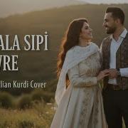 Desmala Sipî û Gewre Ne Hewce Ye AKC Anatolian Kurdi Cover