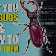 WHY Your Game Gets BUGS HOW To FIX Them With A Focus On LÖVE Lua