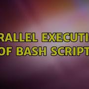 Parallel Execution Of Bash Script