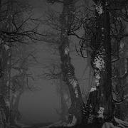 Of Monsters And Men Six Weeks Official Lyric Video