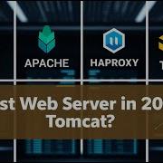 Top Web Server Expert Reveals Best Way To Choose Between NGINX Apache HAProxy And Tomcat