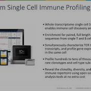 High Resolution Profiling Of Adaptive Immune Context And Repertoire In Mouse