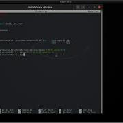 Programming A SYN Flooder In Python