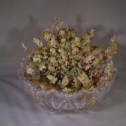 Rose Of Jericho Opening Up In Water Time Lapse Video