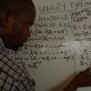 UTILITY OPTIMIZATION USING LAGRANGIAN EQUATION