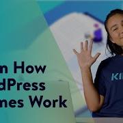 How Do WordPress Themes Work Where To Find Them
