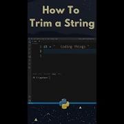 How To Remove Spaces From A String In Python Python Interview Question String Trimming Shorts