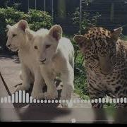 Кристина Есаян Я с Тобой Khachatryan Remix Bass Slow