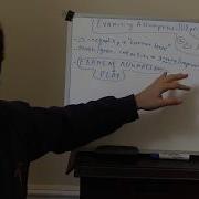 129 Examining Assumptions Do 2 Pts ALWAYS Determine A Line Do Triangles ALWAYS Have 180 Degrees