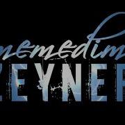MEMEDİM ZEYNEP TOK SEVDALAR