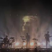 Дельфин Прекрасно LiveSPb Sound