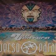 Ace Ventura Set Universo Paralello Festival 2023 2024 Full Movie