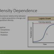 06C Equilibrium Vs Nonequilibrium