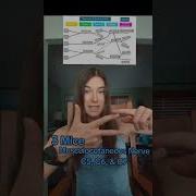 Используйте это чтобы изучить плечевое сплетение анатомия анатомияифизиология изучениеанатомии