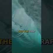The TRUTH Behind Whirlpools NOBODY Told You Shorts