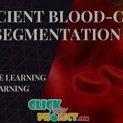 Python Image Processing Project Blood Cell Segmentation For Hematological Disorder ClickMyProject