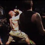 Harms Way RAINFEST THROWBACK 2010