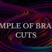 Branch Cuts Examples