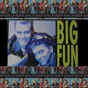 Big Fun Blame It On The Boogie PWL Mix