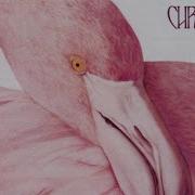Christopher Cross All Right Official Lyric Video