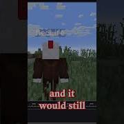 How To Use Entity Track Keyframe Flashback Redlife Minecraft