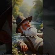 Get Awesome Animations What S Monkey Your Go To Animated Movie For Inspiration Tooned